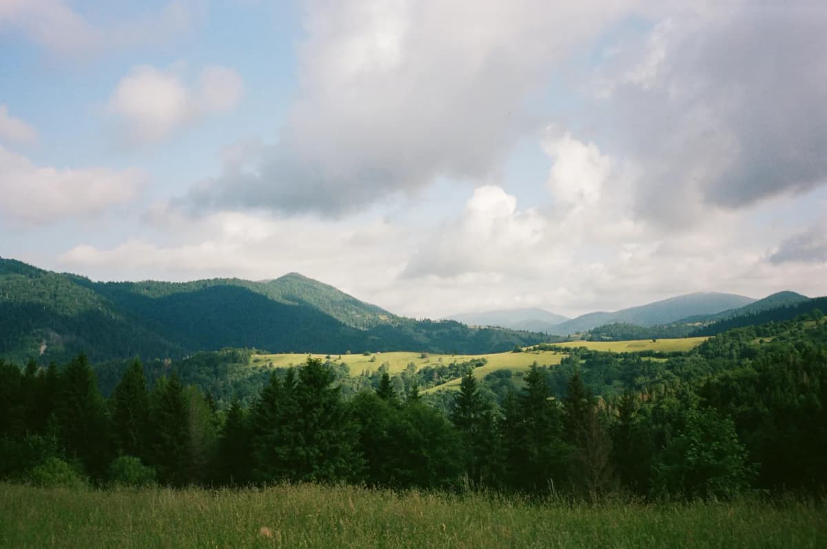 Vallées verdoyantes des Carpates ukrainiennes au Zakarpattia